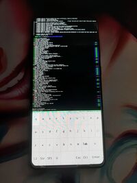 Samsung Galaxy A71 running postmarketsOS with framebufferphone