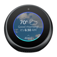 Amazon Echo Spot (2017 release)