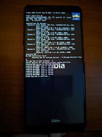 The device running U-Boot