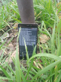 The xiaomi-markw, running edge and sxmo-de-sway, on a sunny day demonstrated lying on some grass.