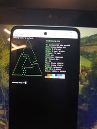 The Samsung Galaxy A52 4G running Plasma Mobile on postmarketOS with a mainline Kernel, showing the result of running neofetch